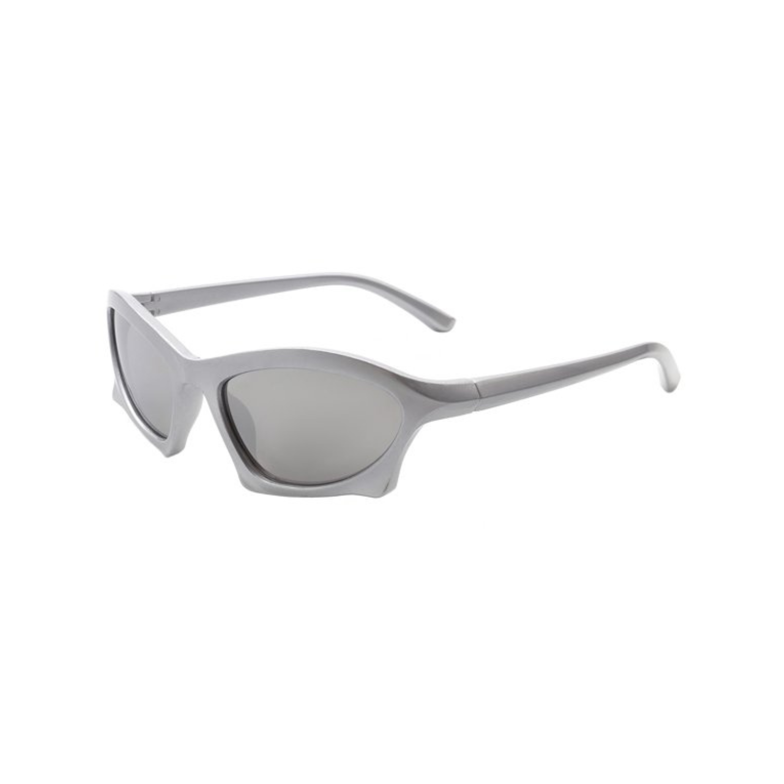 Roma Sunglasses + Silver / Silver